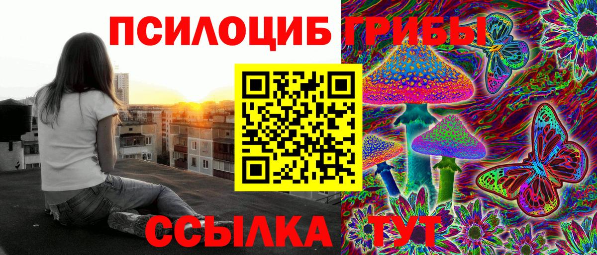 Галлюциногенные грибы ЛСД Сухой Лог