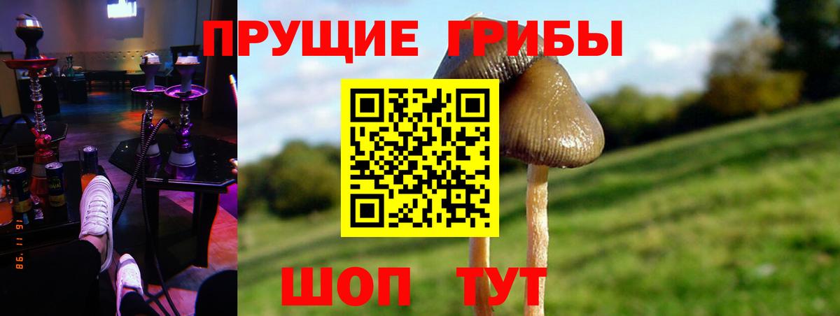 Псилоцибиновые грибы Psilocybe  как найти закладки  Сухой Лог  Вход с VPN 